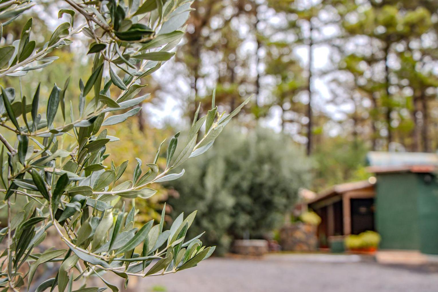 Vivienda Vacacional La Morada エル・パソ エクステリア 写真