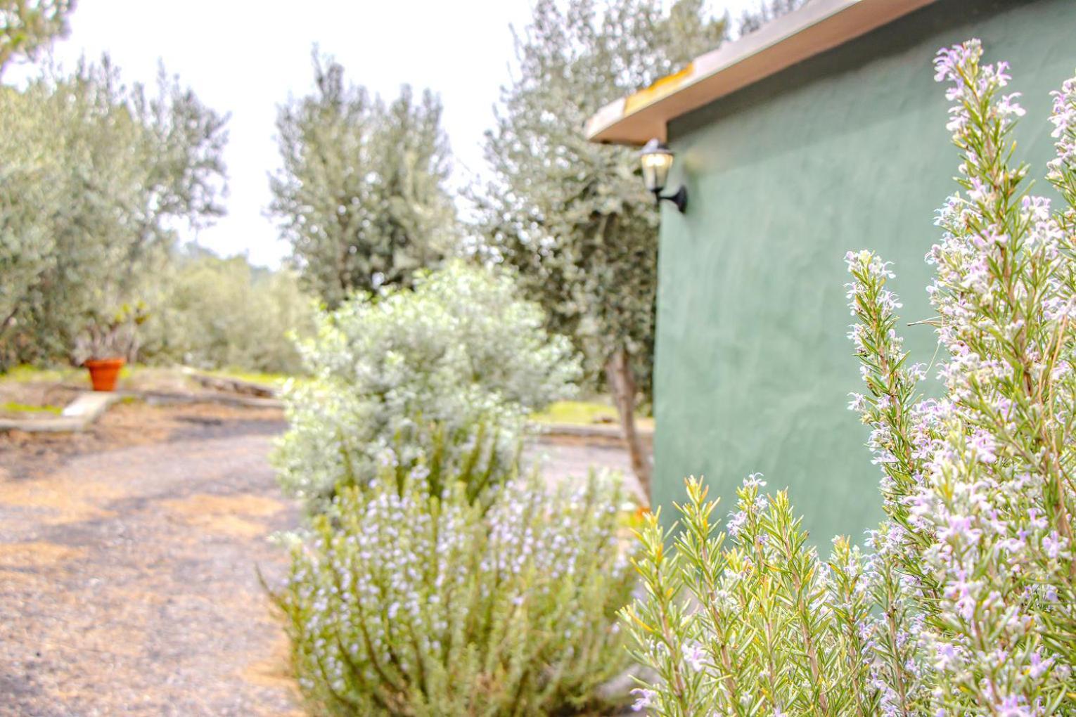 Vivienda Vacacional La Morada エル・パソ エクステリア 写真